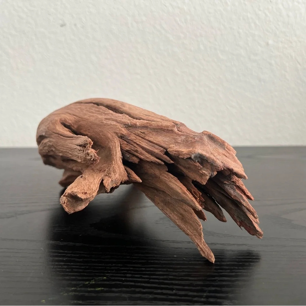 Natural Driftwood Sculpture